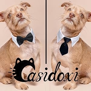 ปลอกคอสุนัขและแมวทรงสูทโบว์ไทน์ ชุดแฟนซีสำหรับงานแต่ง วันเกิด และวาเลนไทน์