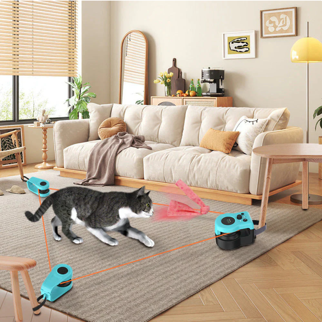 👉 ของเล่นแมว